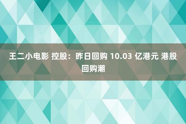 王二小电影 控股：昨日回购 10.03 亿港元 港股回购潮