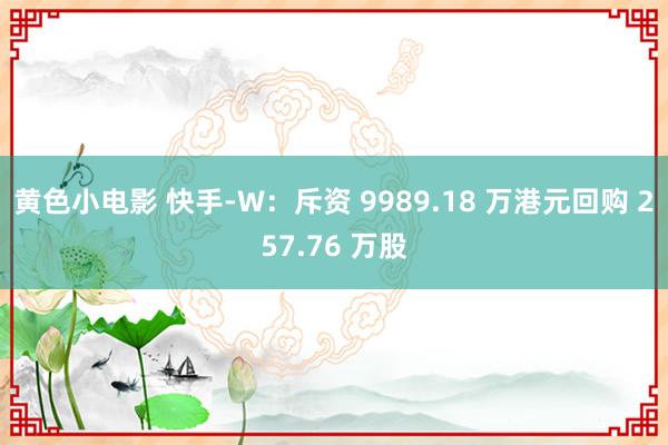 黄色小电影 快手-W：斥资 9989.18 万港元回购 257.76 万股