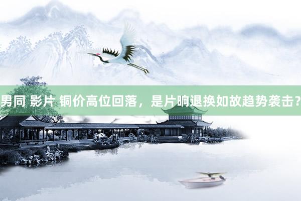 男同 影片 铜价高位回落，是片晌退换如故趋势袭击？