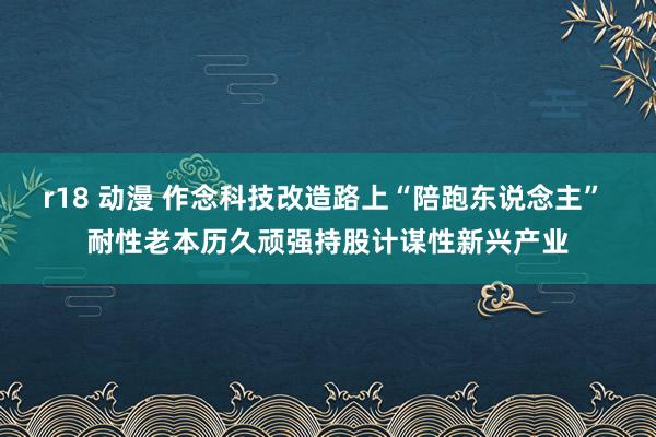 r18 动漫 作念科技改造路上“陪跑东说念主” 耐性老本历久顽强持股计谋性新兴产业