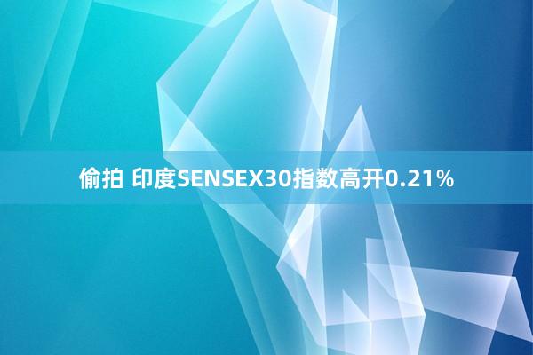 偷拍 印度SENSEX30指数高开0.21%