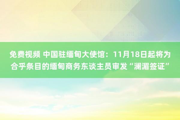 免费视频 中国驻缅甸大使馆：11月18日起将为合乎条目的缅甸商务东谈主员审发“澜湄签证”