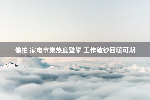偷拍 家电市集热度登攀 工作破钞回暖可期