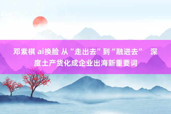 邓紫棋 ai换脸 从“走出去”到“融进去”   深度土产货化成企业出海新重要词